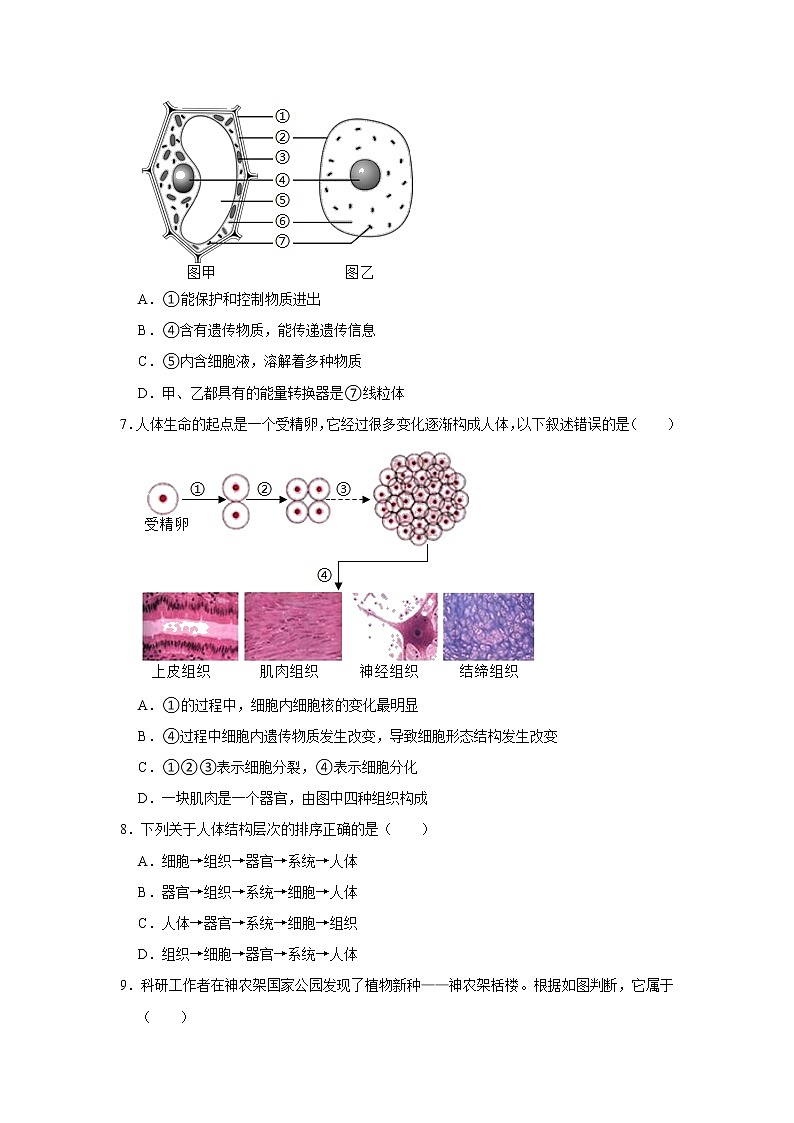 山东省济南市历下区2022-2023学年七年级上学期期末生物试卷 (含答案)02