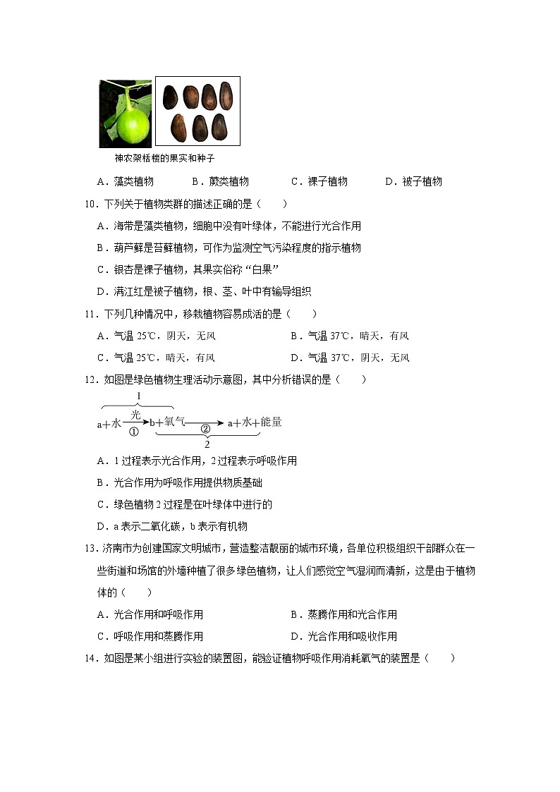 山东省济南市历下区2022-2023学年七年级上学期期末生物试卷 (含答案)03