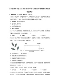山东省济南市章丘区2022-2023学年七年级上学期期末生物试卷(含答案)