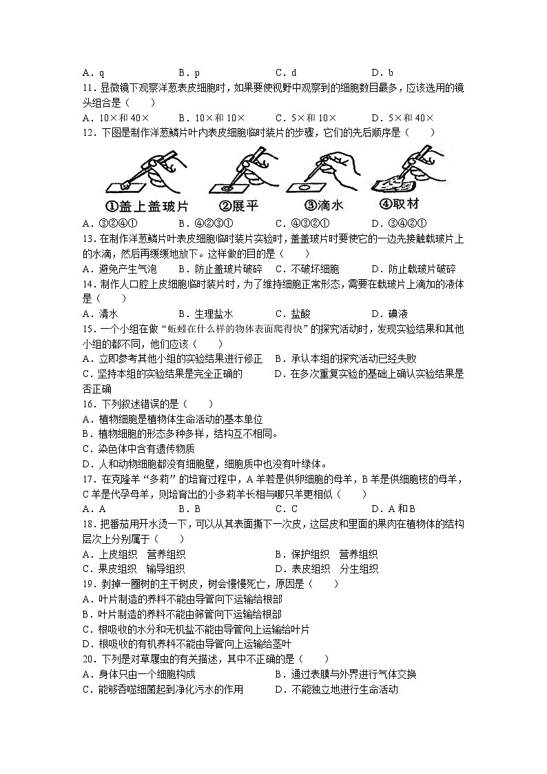 广东省肇庆市封开县2022-2023学年七年级上学期期末生物试题02