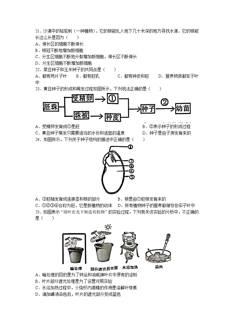 广东省肇庆市封开县2022-2023学年七年级上学期期末生物试题03