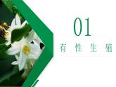 7.1.1《植物的生殖》课件