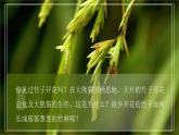 7.1.1《植物的生殖》课件