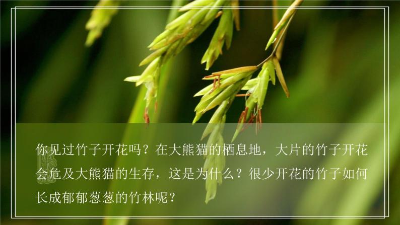 7.1.1《植物的生殖》课件04