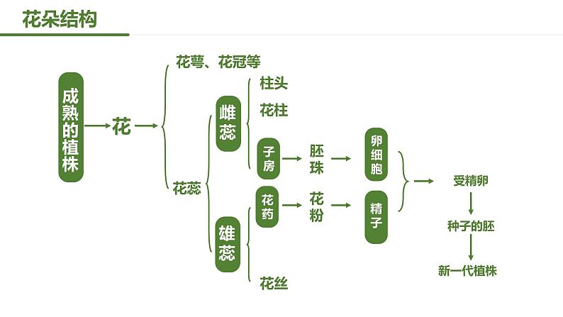 7.1.1《植物的生殖》课件07