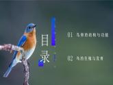 7.1.4《鸟的生殖和发育》课件