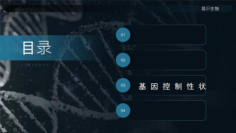 7.2.1《基因控制生物的性状》课件03