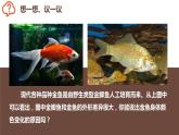 7.2.5《生物的变异》课件