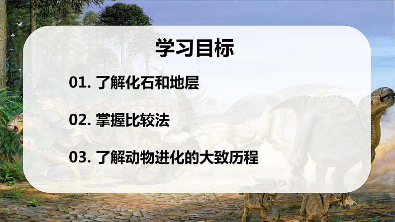 7.3.2《生物进化的历程》课件02