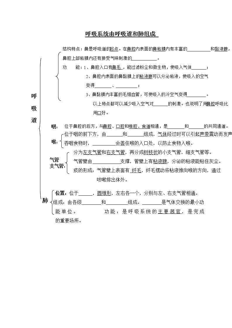 北师大版生物七下学案 10.2 人体细胞获得氧气的过程（第1课时）第2页