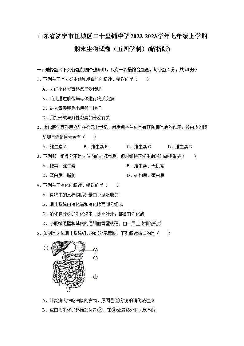 山东省济宁市任城区二十里铺中学2022-2023学年七年级上学期期末生物试卷（含答案）01