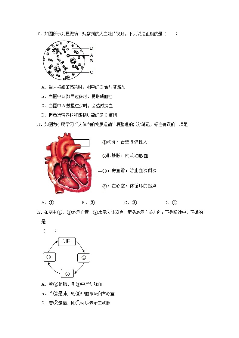 山东省济宁市任城区二十里铺中学2022-2023学年七年级上学期期末生物试卷（含答案）03