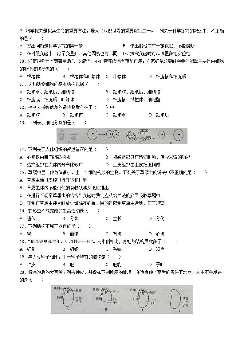 云南省文山州文山市2022-2023学年七年级上学期期末生物试题（含答案）02