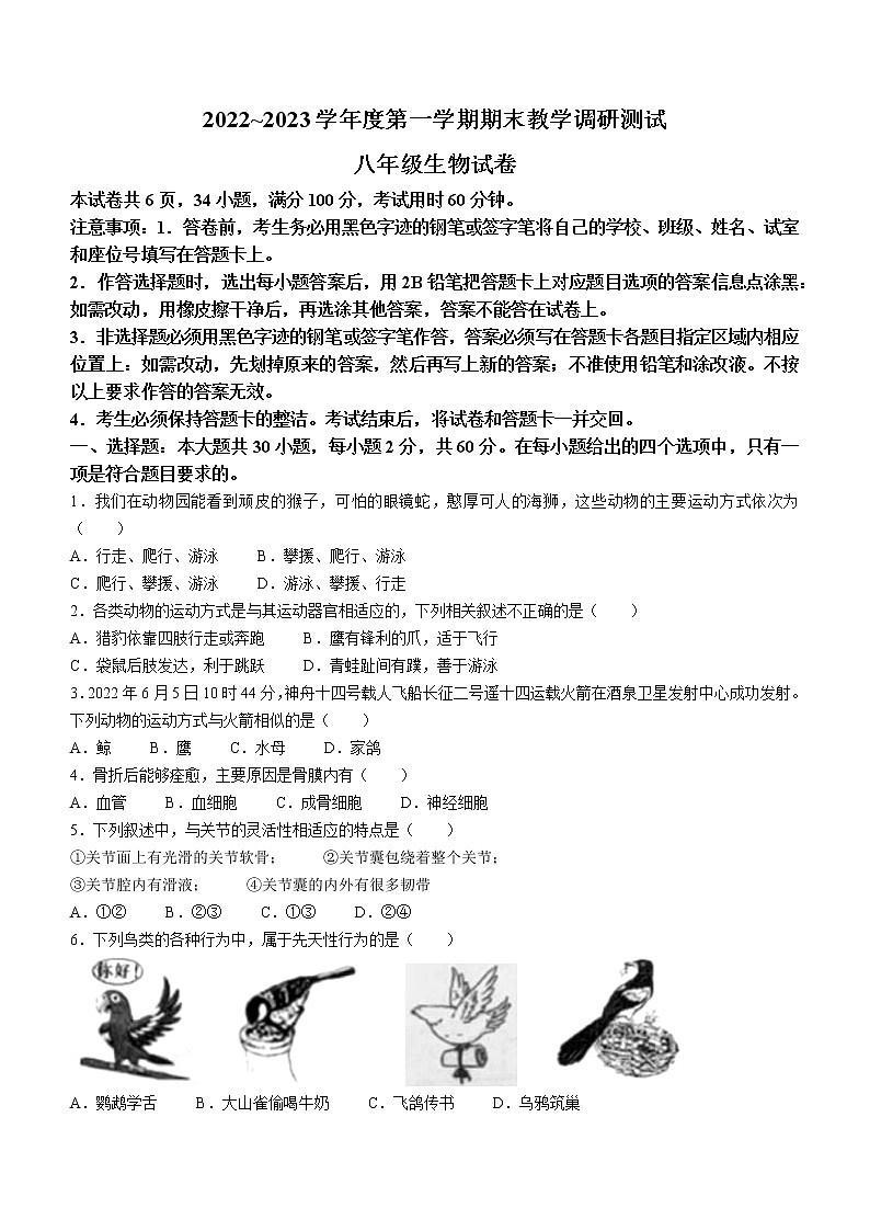 广东省湛江市徐闻县2022-2023学年八年级上学期期末生物试题（含答案）第1页