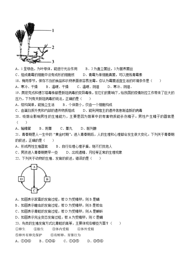 广东省湛江市徐闻县2022-2023学年八年级上学期期末生物试题（含答案）第3页