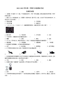 湖南省湘西泸溪县2022-2023学年八年级上学期八年级期末生物试题（含答案）