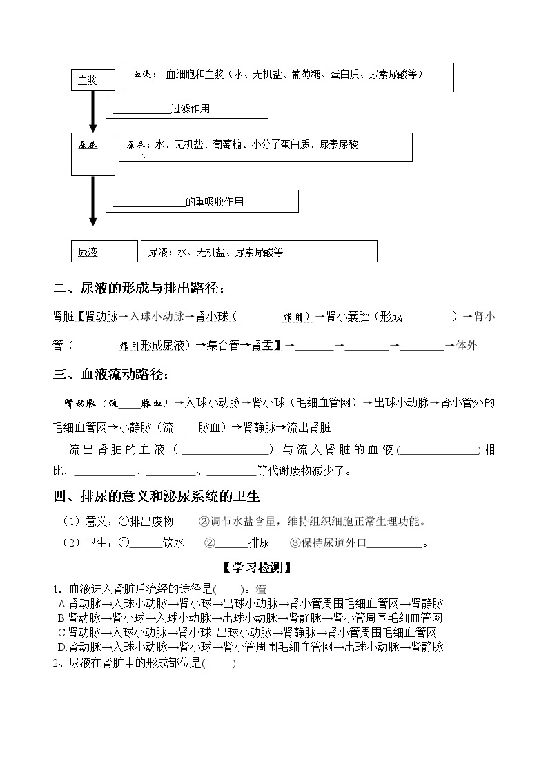 北师大版生物七下学案 11.2 尿液的形成与排出（第2课时）02