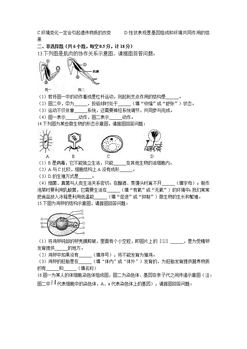 辽宁省抚顺市抚顺县2022-2023学年八年级上学期期末生物试题第2页
