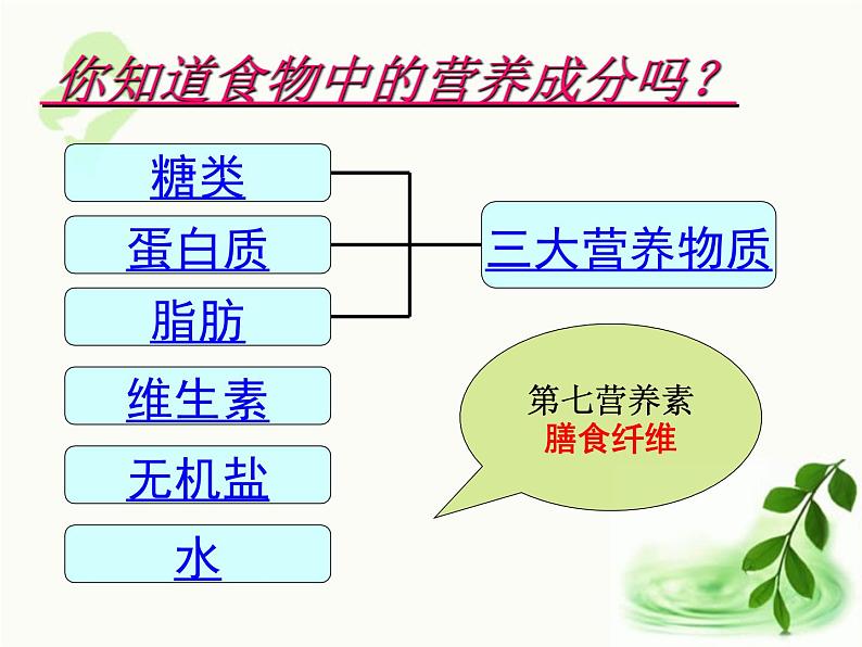 济南版生物七年级下册 第三单元 第一章 第一节 食物的营养成分 课件第8页