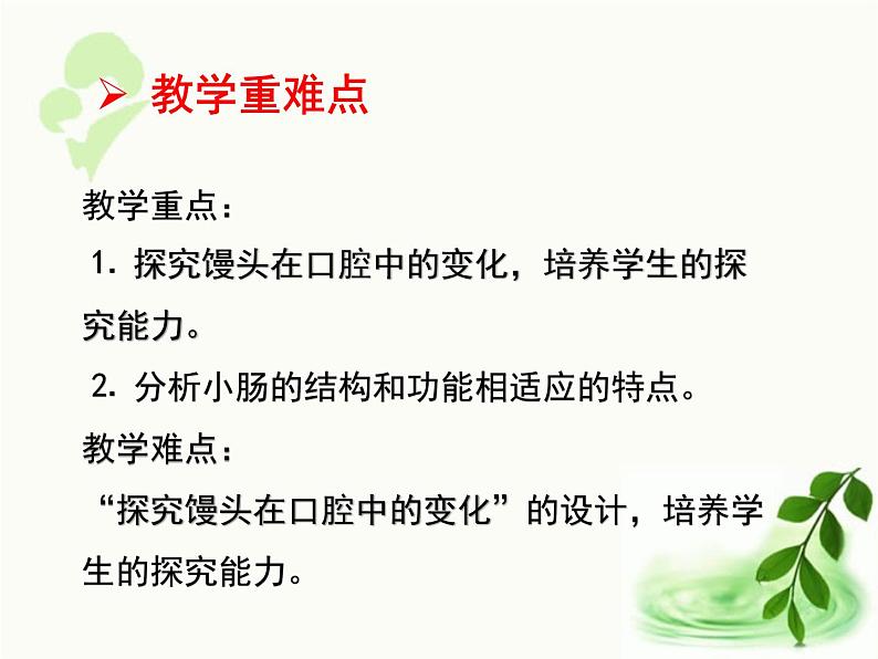 济南版生物七年级下册 第三单元 第一章 第二节 消化和吸收 课件03