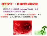 济南版生物七年级下册 第三单元 第三章 第一节 物质运输的载体 课件