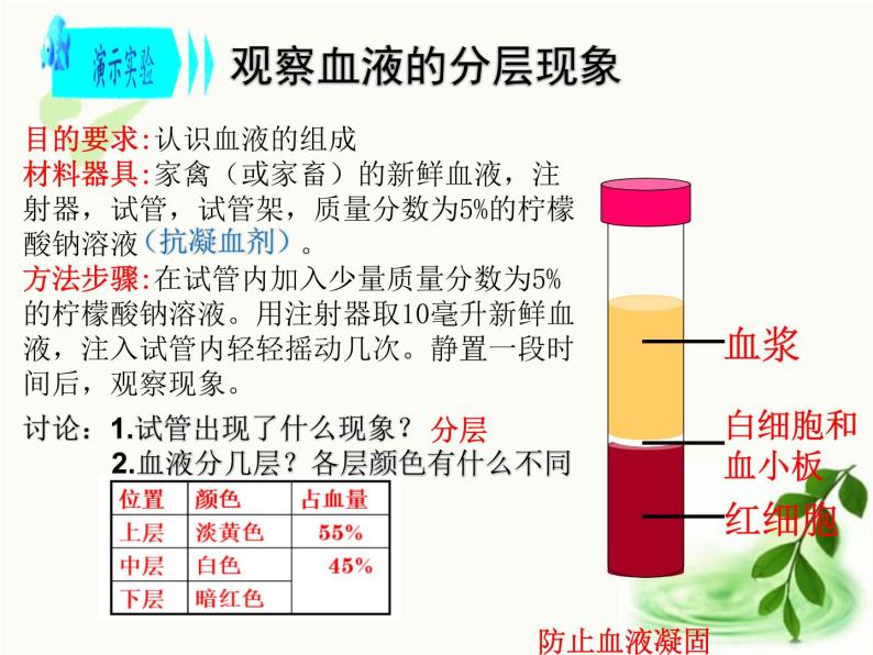 济南版生物七年级下册 第三单元 第三章 第一节 物质运输的载体 课件05