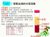 济南版生物七年级下册 第三单元 第三章 第一节 物质运输的载体 课件