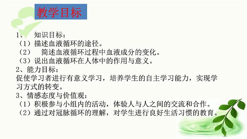 济南版生物七年级下册 第三单元 第三章 第三节 物质运输的途径 课件02