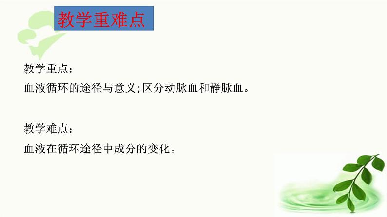 济南版生物七年级下册 第三单元 第三章 第三节 物质运输的途径 课件03