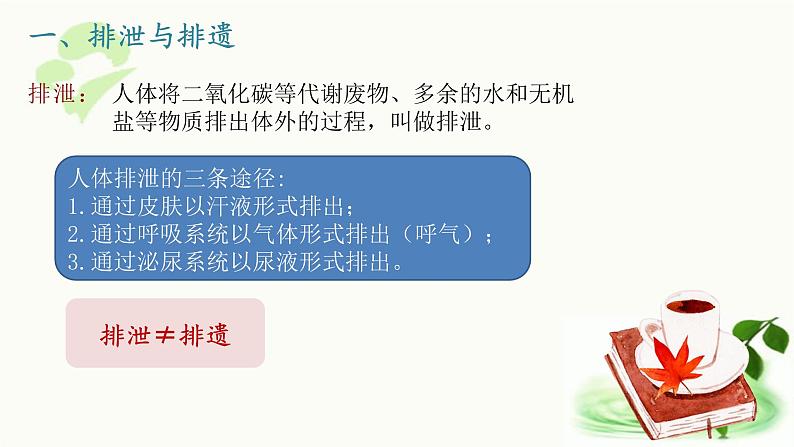 济南版生物七年级下册 第三单元 第四章 第一节 尿液的形成和排出 课件第5页