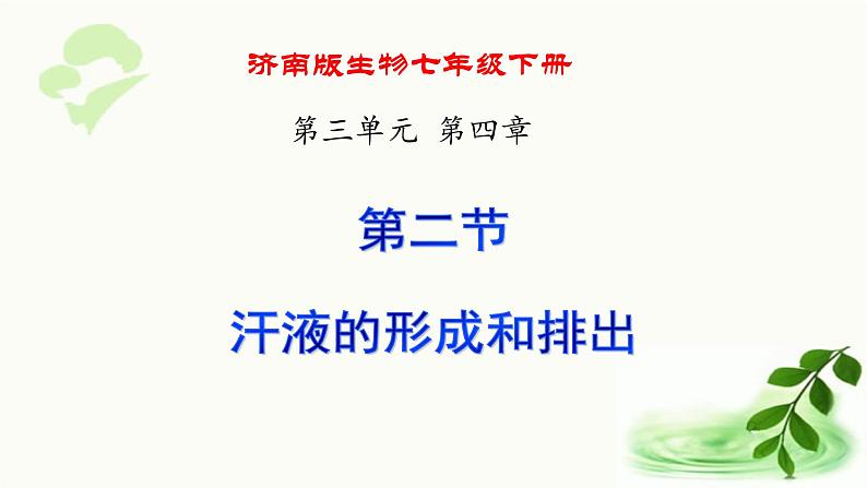 济南版生物七年级下册 第三单元 第四章 第二节 汗液的形成和排出 课件01