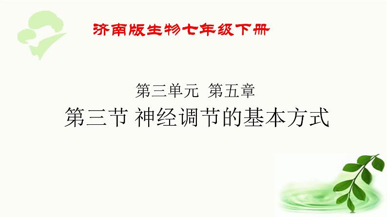 济南版生物七年级下册 第三单元 第五章 第三节 神经调节的基本方式 课件06