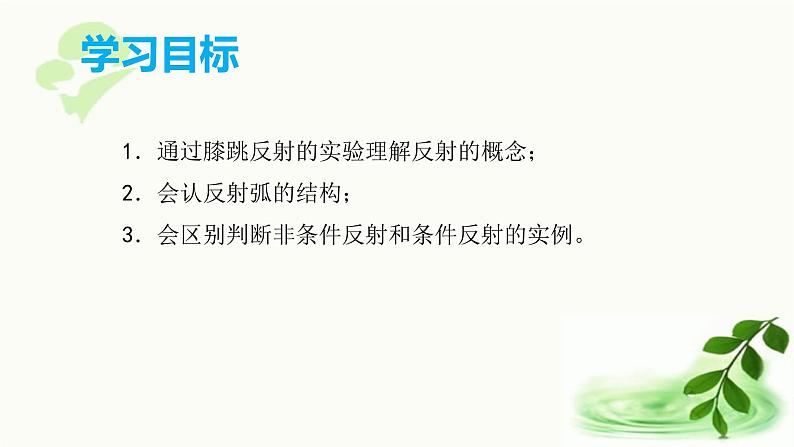 济南版生物七年级下册 第三单元 第五章 第三节 神经调节的基本方式 课件07