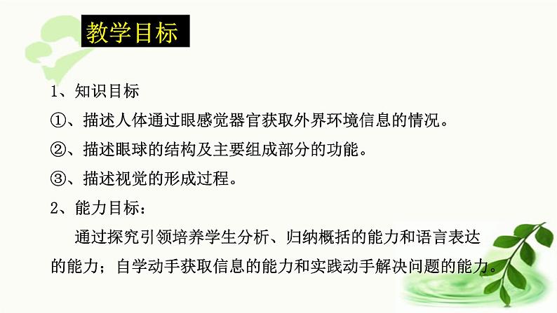 济南版生物七年级下册 第三单元 第五章 第四节 人体对周围世界的感知 课件第2页