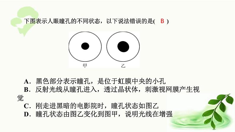 济南版生物七年级下册 第三单元 第五章 第四节 人体对周围世界的感知 课件第7页