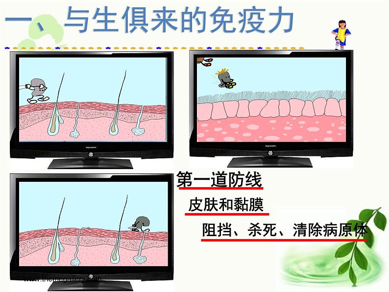 济南版生物七年级下册 第三单元 第六章 第一节 人体的免疫功能 课件06