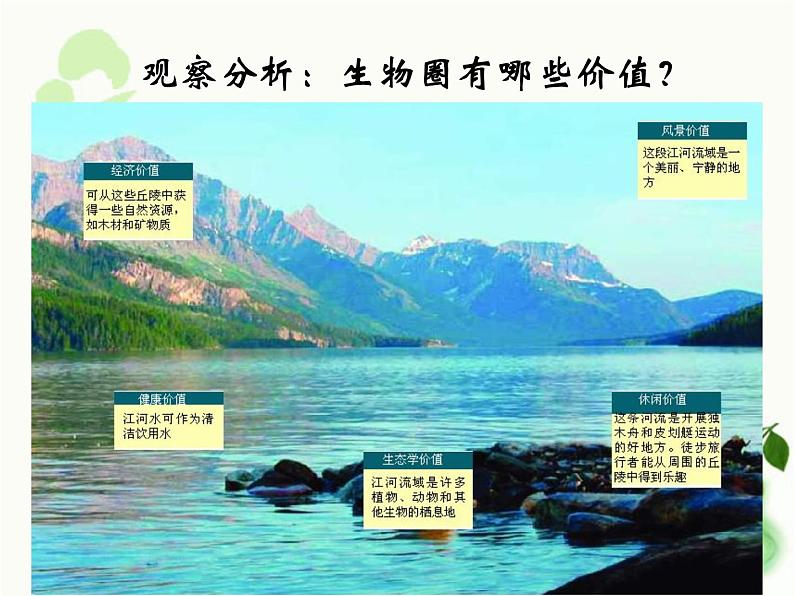 济南版生物七年级下册 第三单元 第七章 第二节 保护我们的家园 课件第6页