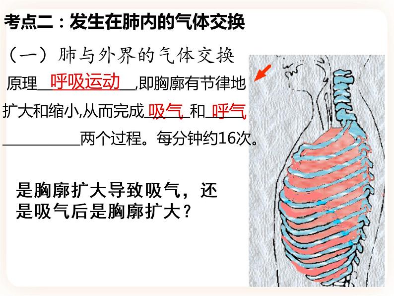 【中考一轮复习】新课标中考生物人教版课件：专题11《人体的呼吸》05