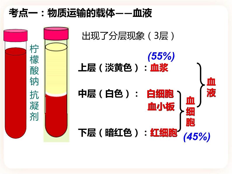 【中考一轮复习】新课标中考生物人教版课件：专题12《人体内物质的运输》03