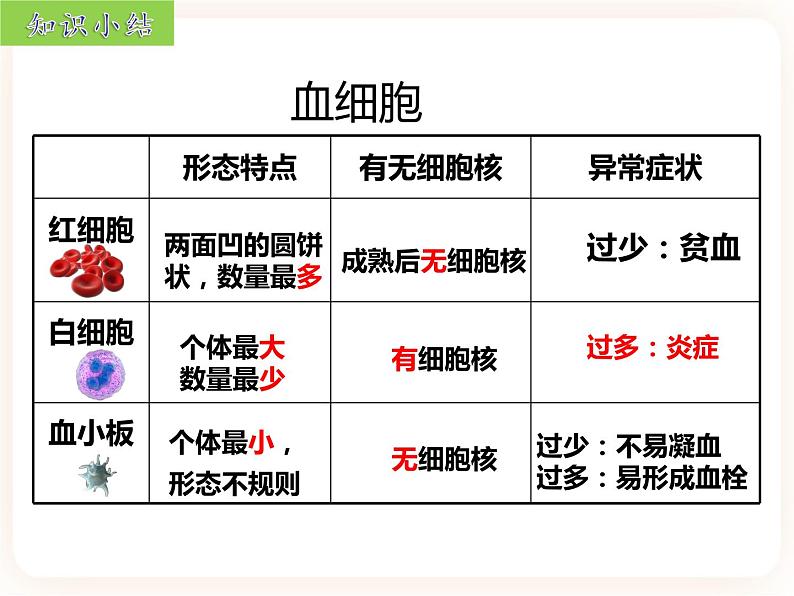 【中考一轮复习】新课标中考生物人教版课件：专题12《人体内物质的运输》04