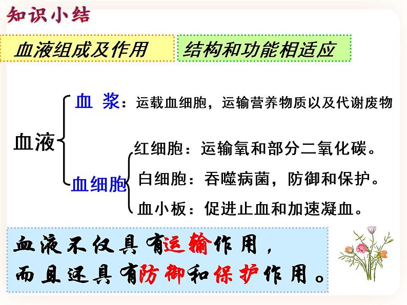 【中考一轮复习】新课标中考生物人教版课件：专题12《人体内物质的运输》08