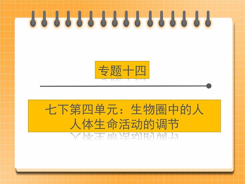 【中考一轮复习】新课标中考生物人教版课件：专题14《人体生命活动的调节》01