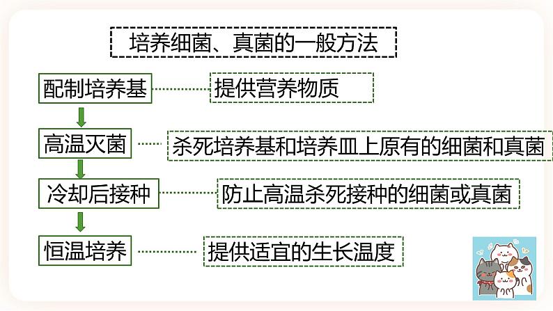 【中考一轮复习】新课标中考生物人教版课件：专题15《微生物》第5页