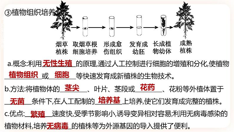 【中考一轮复习】新课标中考生物人教版课件：专题16《生物的生殖和发育》06