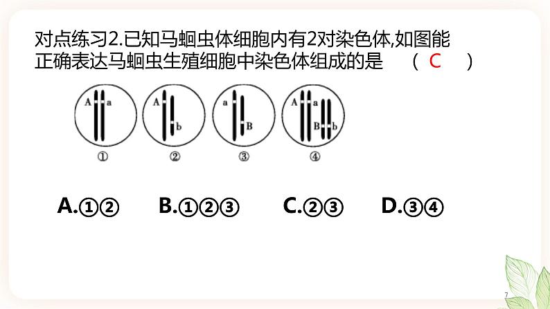 【中考一轮复习】新课标中考生物人教版课件：专题17《生物的遗传和变异》07