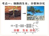 【中考一轮复习】新课标中考生物人教版课件：专题3《细胞怎样构成生物体》