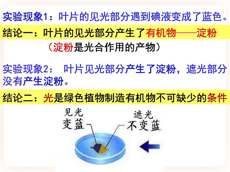 【中考一轮复习】新课标中考生物人教版课件：专题7《光合作用》第7页