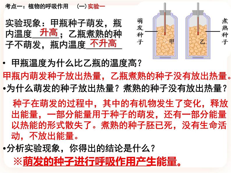 【中考一轮复习】新课标中考生物人教版课件：专题8《绿色植物的呼吸作用》第2页