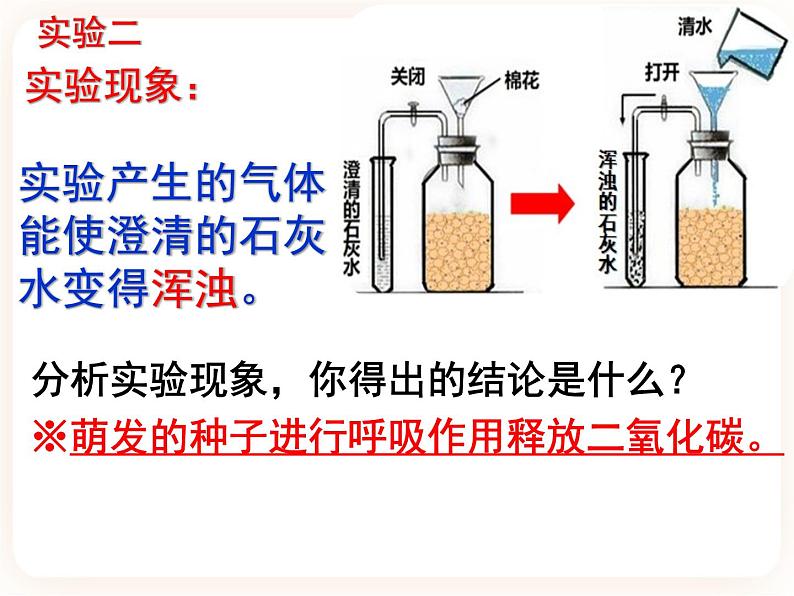 【中考一轮复习】新课标中考生物人教版课件：专题8《绿色植物的呼吸作用》第3页