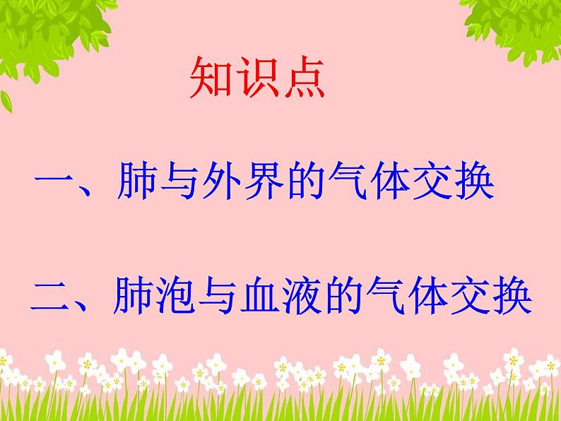 济南版生物七年级下册 第三单元 第二章 第一节 人体与外界间的气体交换 课件08